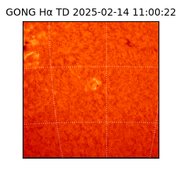 gong - 2025-02-14T11:00:22