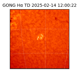 gong - 2025-02-14T12:00:22