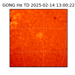 gong - 2025-02-14T13:00:22