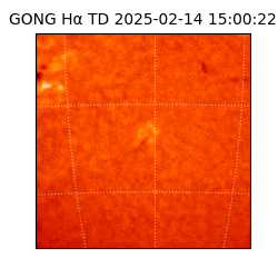 gong - 2025-02-14T15:00:22