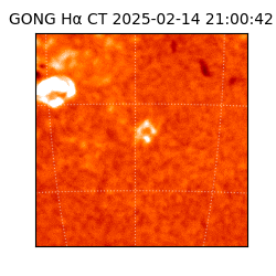 gong - 2025-02-14T21:00:42