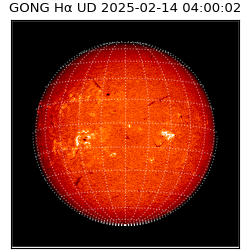 gong - 2025-02-14T04:00:02