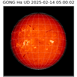 gong - 2025-02-14T05:00:02