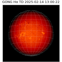 gong - 2025-02-14T13:00:22