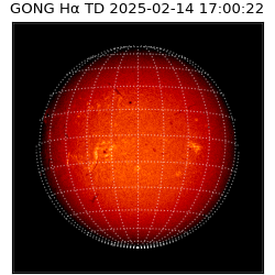 gong - 2025-02-14T17:00:22