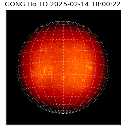 gong - 2025-02-14T18:00:22