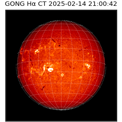 gong - 2025-02-14T21:00:42