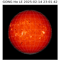 gong - 2025-02-14T23:01:42