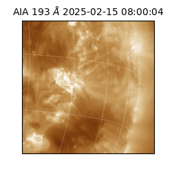 saia - 2025-02-15T08:00:04.843000