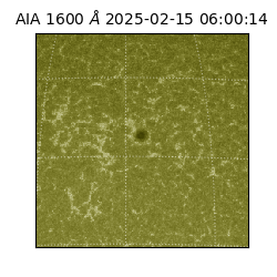 saia - 2025-02-15T06:00:14.126000