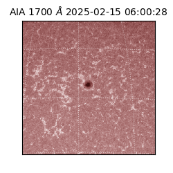 saia - 2025-02-15T06:00:28.726000