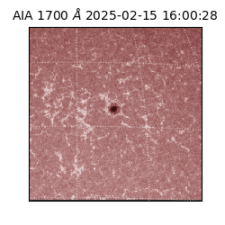 saia - 2025-02-15T16:00:28.717000