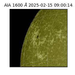 saia - 2025-02-15T09:00:14.126000
