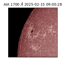 saia - 2025-02-15T09:00:28.717000