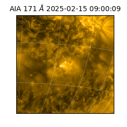 saia - 2025-02-15T09:00:09.351000