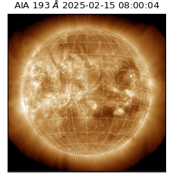 saia - 2025-02-15T08:00:04.843000
