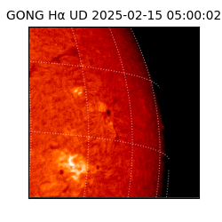 gong - 2025-02-15T05:00:02