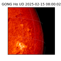 gong - 2025-02-15T08:00:02