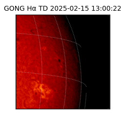 gong - 2025-02-15T13:00:22