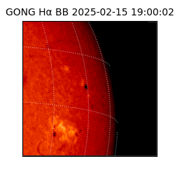 gong - 2025-02-15T19:00:02