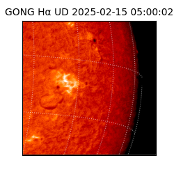 gong - 2025-02-15T05:00:02