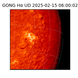 gong - 2025-02-15T06:00:02