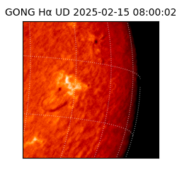 gong - 2025-02-15T08:00:02