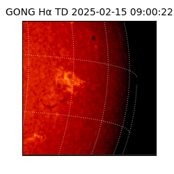 gong - 2025-02-15T09:00:22
