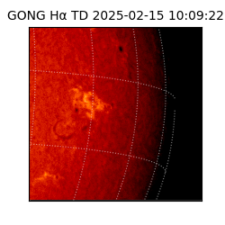 gong - 2025-02-15T10:09:22