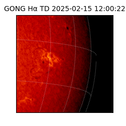 gong - 2025-02-15T12:00:22