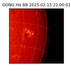 gong - 2025-02-15T22:00:02