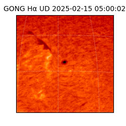 gong - 2025-02-15T05:00:02