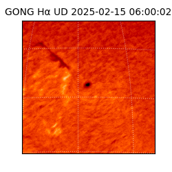 gong - 2025-02-15T06:00:02