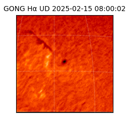 gong - 2025-02-15T08:00:02