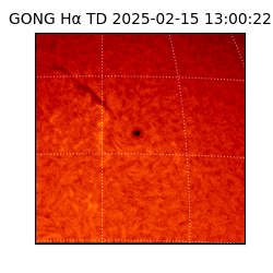 gong - 2025-02-15T13:00:22