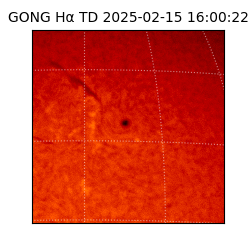 gong - 2025-02-15T16:00:22