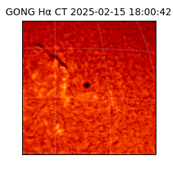 gong - 2025-02-15T18:00:42