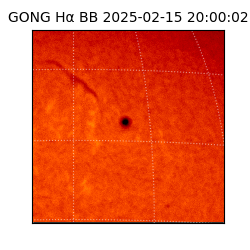 gong - 2025-02-15T20:00:02