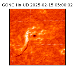 gong - 2025-02-15T05:00:02