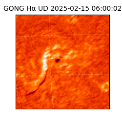 gong - 2025-02-15T06:00:02