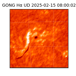gong - 2025-02-15T08:00:02