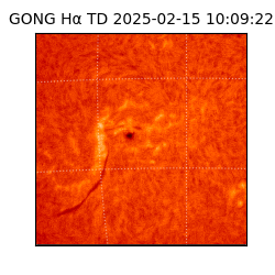 gong - 2025-02-15T10:09:22
