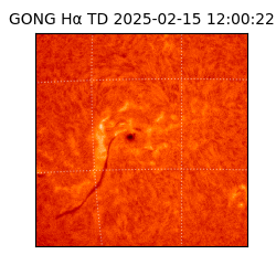gong - 2025-02-15T12:00:22