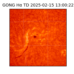 gong - 2025-02-15T13:00:22
