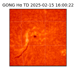 gong - 2025-02-15T16:00:22