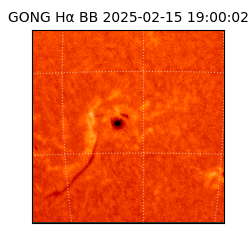 gong - 2025-02-15T19:00:02