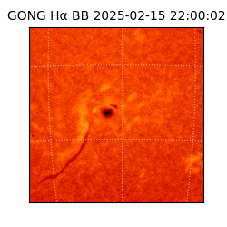 gong - 2025-02-15T22:00:02