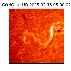 gong - 2025-02-15T05:00:02
