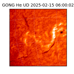 gong - 2025-02-15T06:00:02