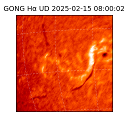 gong - 2025-02-15T08:00:02